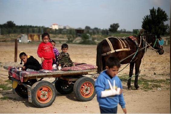 بذرپاشی کشاورزان غزه بذرپاشی کشاورزان غزه,اخبار سیاسی,خبرهای سیاسی,خاورمیانه