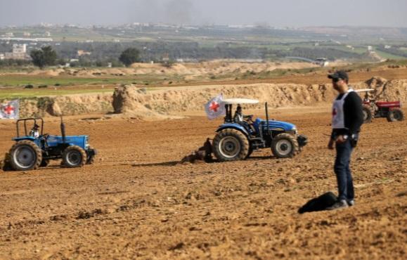 بذرپاشی کشاورزان غزه,اخبار سیاسی,خبرهای سیاسی,خاورمیانه