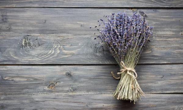 تاثیر فعالیت ها بر هورمون شادی انسان,اخبار پزشکی,خبرهای پزشکی,مشاوره پزشکی