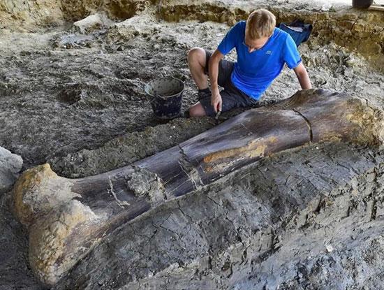 تصاویر زیبا و جذاب,اخبار جالب,خبرهای جالب,خواندنی ها و دیدنی ها