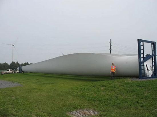 تصاویر زیبا و جذاب,اخبار جالب,خبرهای جالب,خواندنی ها و دیدنی ها