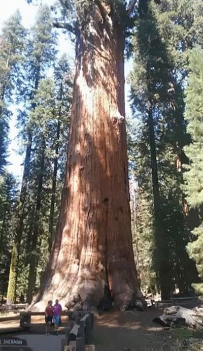 تصاویر زیبا و جذاب,اخبار جالب,خبرهای جالب,خواندنی ها و دیدنی ها