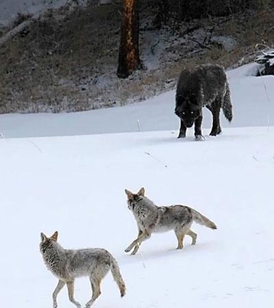 تصاویر زیبا و جذاب,اخبار جالب,خبرهای جالب,خواندنی ها و دیدنی ها