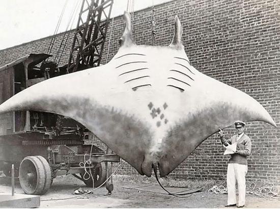 تصاویر زیبا و جذاب,اخبار جالب,خبرهای جالب,خواندنی ها و دیدنی ها