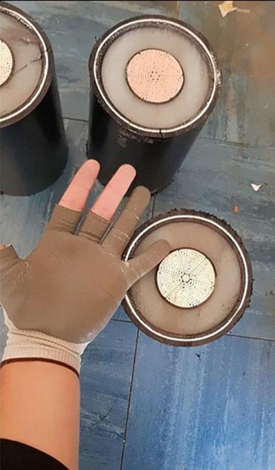 تصاویر زیبا و جذاب,اخبار جالب,خبرهای جالب,خواندنی ها و دیدنی ها