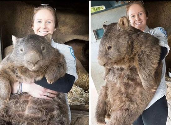 تصاویر زیبا و جذاب,اخبار جالب,خبرهای جالب,خواندنی ها و دیدنی ها