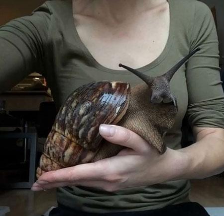 تصاویر زیبا و جذاب,اخبار جالب,خبرهای جالب,خواندنی ها و دیدنی ها