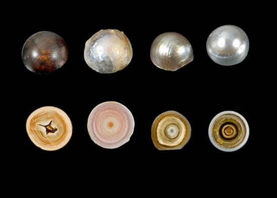 تصاویر زیبا و جذاب,اخبار جالب,خبرهای جالب,خواندنی ها و دیدنی ها