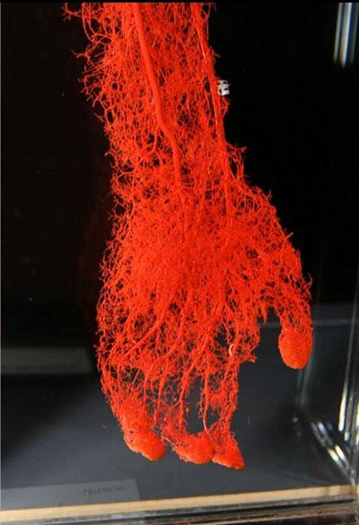 تصاویر زیبا و جذاب,اخبار جالب,خبرهای جالب,خواندنی ها و دیدنی ها