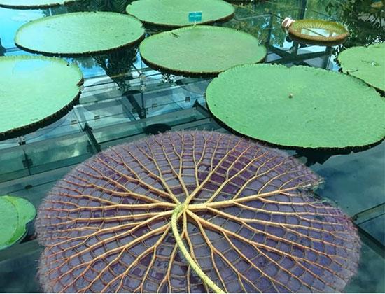 تصاویر زیبا و جذاب,اخبار جالب,خبرهای جالب,خواندنی ها و دیدنی ها