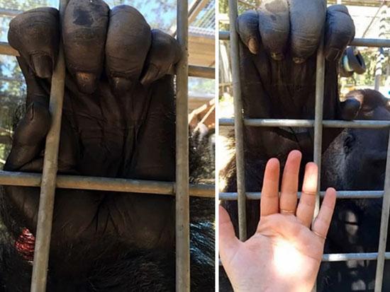 تصاویر زیبا و جذاب,اخبار جالب,خبرهای جالب,خواندنی ها و دیدنی ها