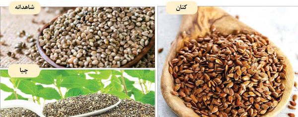 نقش روغن ماهی امگا 3 در کاهش وزن,اخبار پزشکی,خبرهای پزشکی,مشاوره پزشکی
