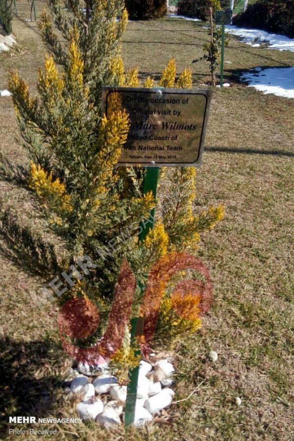 کمپ تیم های ملی فوتبال,اخبار فوتبال,خبرهای فوتبال,فوتبال ملی