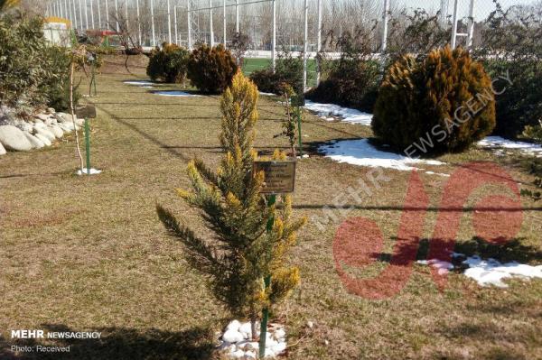 کمپ تیم های ملی فوتبال,اخبار فوتبال,خبرهای فوتبال,فوتبال ملی