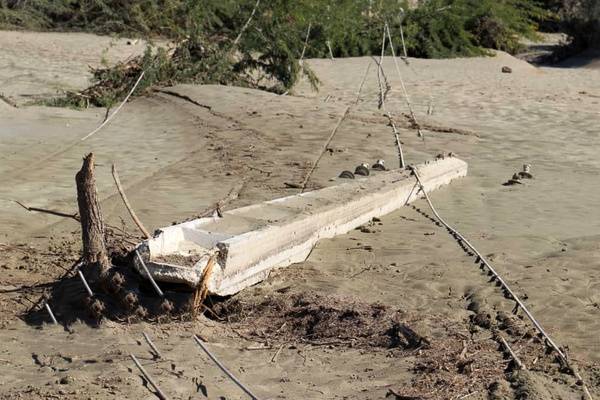 خسارات سیل در سیستان و بلوچستان,اخبار اقتصادی,خبرهای اقتصادی,کشت و دام و صنعت