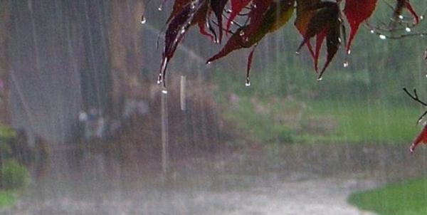 تاثیرات بارندگی در فصول مرطوب,اخبار علمی,خبرهای علمی,طبیعت و محیط زیست