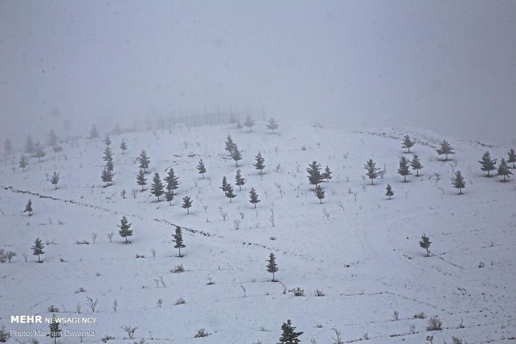 تصاویر طبیعت برفی بجنورد,عکس های دیدنی از طبیعت,تصاویر برف در بجنورد