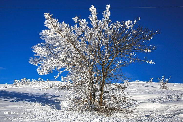تصاویر طبیعت برفی بجنورد,عکس های دیدنی از طبیعت,تصاویر برف در بجنورد