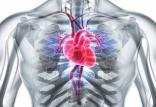 قلب,اخبار پزشکی,خبرهای پزشکی,مشاوره پزشکی