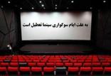 سینماهای ایران,اخبار فیلم و سینما,خبرهای فیلم و سینما,سینمای ایران