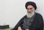 آیت الله سید علی سیستانی,اخبار سیاسی,خبرهای سیاسی,خاورمیانه
