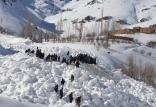 سقوط بهمن در دایکندی افغانستان,اخبار حوادث,خبرهای حوادث,حوادث طبیعی