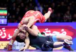 کشتی فرنگی جام تختی,اخبار ورزشی,خبرهای ورزشی,کشتی و وزنه برداری