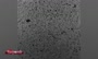 اولین فیلم از اولین فیلم از ویروس کرونا در زیر میکروسکوپ