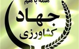 وزارت جهاد کشاورزی برای پرداخت پاداش کارکنان خود ملک میفروشد + سند وزارت جهاد کشاورزی,اخبار اقتصادی,خبرهای اقتصادی,کشت و دام و صنعت
