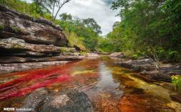 تصاویر زیباترین رودخانه‌های جهان,عکس های زیباترین رودخانه‌های جهان,تصاویر رودخانه ها