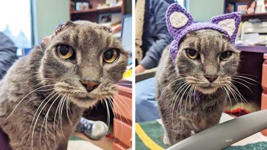 تصاویر احساسی,اخبار جالب,خبرهای جالب,خواندنی ها و دیدنی ها