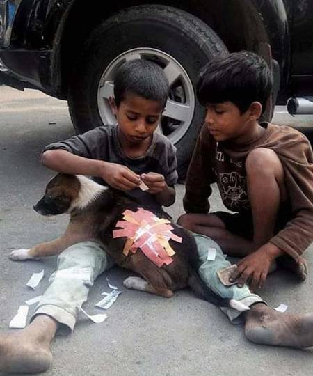 تصاویر احساسی,اخبار جالب,خبرهای جالب,خواندنی ها و دیدنی ها