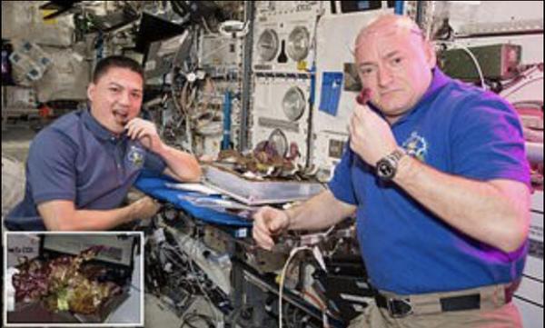 تفاوت کاهوی فضایی با کاهوی زمینی,اخبار علمی,خبرهای علمی,نجوم و فضا