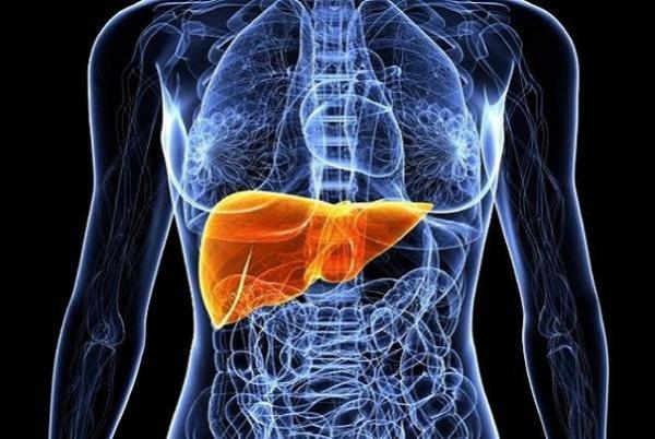 سرطان کبد,اخبار پزشکی,خبرهای پزشکی,تازه های پزشکی