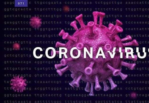ویروس COVID- ۱۹,اخبار پزشکی,خبرهای پزشکی,بهداشت