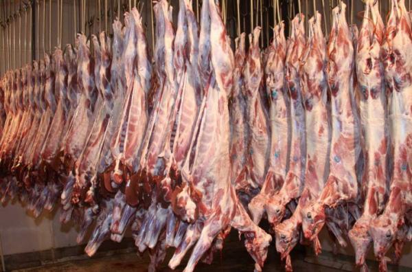 گوشت گوسفندی گوشت گوسفندی,اخبار اقتصادی,خبرهای اقتصادی,کشت و دام و صنعت
