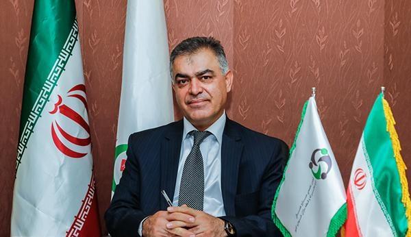 احمدرضا رعنایی,اخبار خودرو,خبرهای خودرو,بازار خودرو