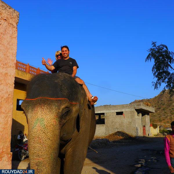 تصاویر فیل‌ها در هند,عکس های فیل‌ها در هند,تصاویر جاذبه های گردشگری هند