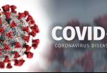 ویروس COVID-19,اخبار سیاسی,خبرهای سیاسی,اخبار بین الملل