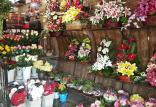 میزان کاهش قیمت گل,اخبار اقتصادی,خبرهای اقتصادی,کشت و دام و صنعت