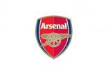 باشگاه آرسنال,اخبار فوتبال,خبرهای فوتبال,حواشی فوتبال