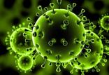 ویروس کرونا در جهان,اخبار پزشکی,خبرهای پزشکی,بهداشت