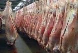 قیمت گوشت گوسفندی,اخبار اقتصادی,خبرهای اقتصادی,کشت و دام و صنعت