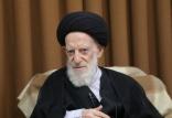 آیت الله شبیری زنجانی,اخبار سیاسی,خبرهای سیاسی,اخبار سیاسی ایران