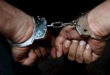 بازداشت پرستار تقلبی,اخبار حوادث,خبرهای حوادث,جرم و جنایت
