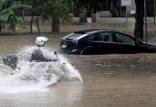 بارندگی‌های مرگبار در برزیل,اخبار حوادث,خبرهای حوادث,حوادث طبیعی