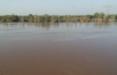 افزایش سطح آب رودخانه دز,اخبار اجتماعی,خبرهای اجتماعی,شهر و روستا