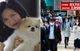 ثبت اولین انتقال کرونا از انسان به حیوان در هنگ کنگ,اخبار پزشکی,خبرهای پزشکی,بهداشت