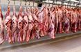 افزایش قیمت گوشت گوسفندی,اخبار اقتصادی,خبرهای اقتصادی,کشت و دام و صنعت