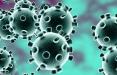 ویروس کرونا در البرز,اخبار پزشکی,خبرهای پزشکی,بهداشت